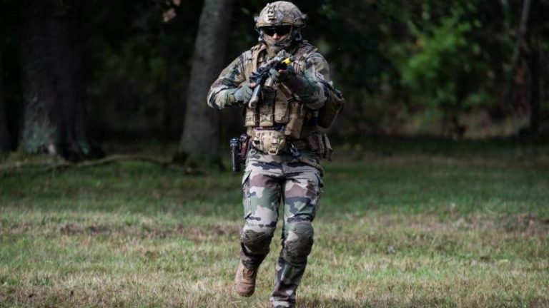 presentation des capacités de l armee de terre-12
