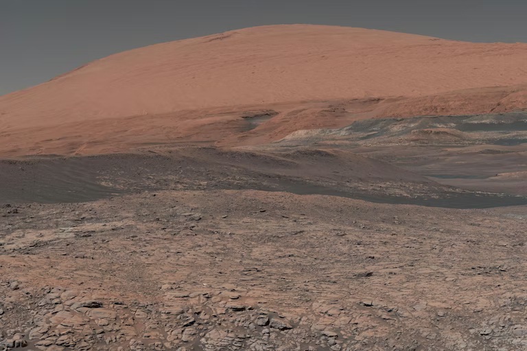 file-20190222-195873-1qe4e26