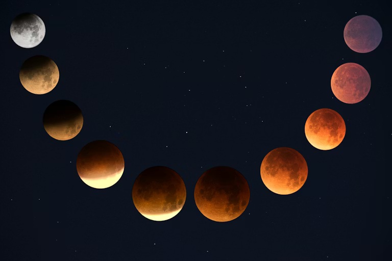 file-20190226-150728-517kdv