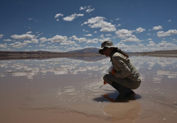 01d37fae-deef-4021-a8d5-59ac68c4c9f8