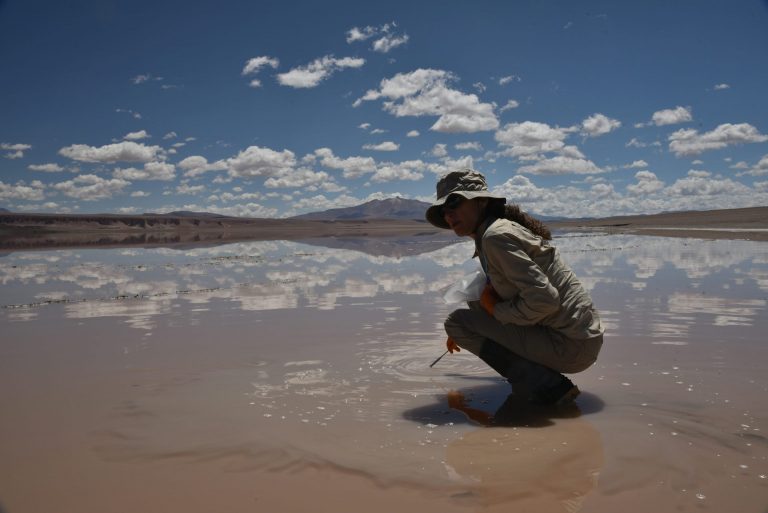 01d37fae-deef-4021-a8d5-59ac68c4c9f8